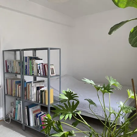Apartamento Cosy Studio In The Historic Heart Bordéus