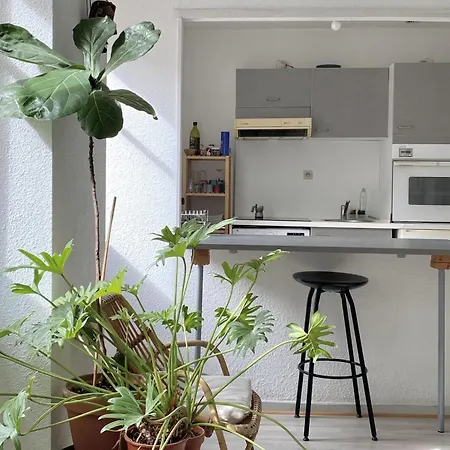 Cosy Studio In The Historic Heart
